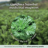 Adamhyang Korean Mugwort Tea 0.04 oz (1g) * 25 Tea Bags