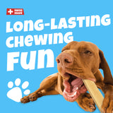 Swisscowers Cheese Bar for Large & Small Dogs - Long Chewing Pleasure, Made with 100% Swiss Milk, Lactose-free, Gluten-Free, No Preservatives, 80g
