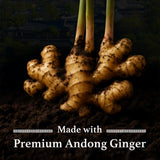 Fermented Andong Ginger Tea 0.07 oz (2g) X 20 Tea Bags