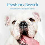 PAW BIOTICS Dental