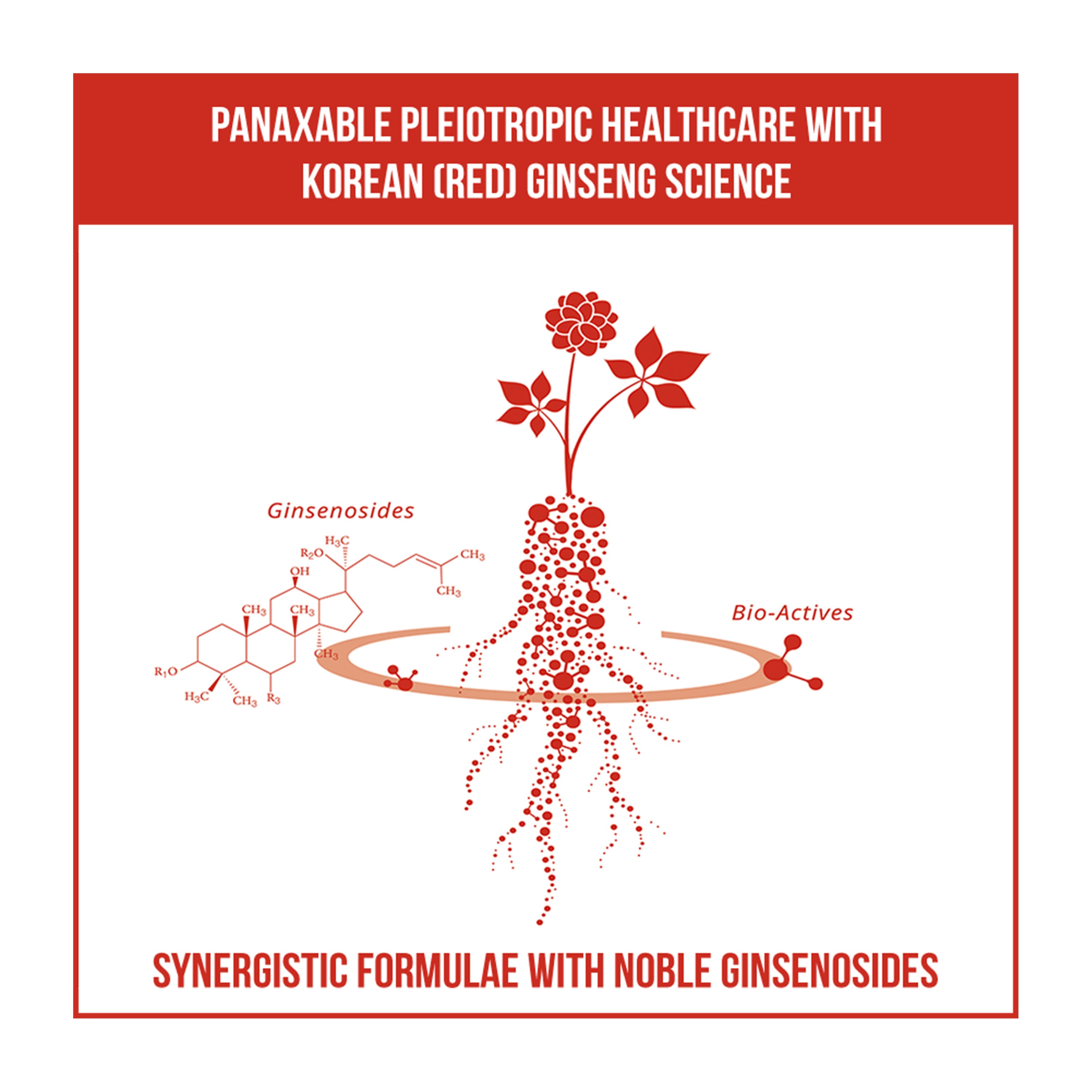 Korean Red Ginseng Supplement, Korean Red Ginseng (6 Years Grown) Extract with Synergistic Herbal Formula