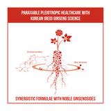 Korean Red Ginseng Supplement, Korean Red Ginseng (6 Years Grown) Extract with Synergistic Herbal Formula