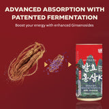 Premium Fermented Red Ginseng K with Patented Fermented Ginseng & Chaga Mushroom – Low Calorie Immune Support Drink (15 Cans × 180 ml / 6.08 fl oz)