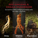 Premium Fermented Red Ginseng K with Patented Fermented Ginseng & Chaga Mushroom – Low Calorie Immune Support Drink (15 Cans × 180 ml / 6.08 fl oz)