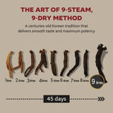 Premium Fermented Red Ginseng K with Patented Fermented Ginseng & Chaga Mushroom – Low Calorie Immune Support Drink (15 Cans × 180 ml / 6.08 fl oz)