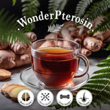 Wonder Pterosin – Pterosin & Ginger Liquid Tea for Healthy Brain and Bones, 2.37 fl oz (70 ml) x 30 pouches