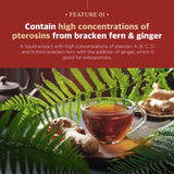 Wonder Pterosin – Pterosin & Ginger Liquid Tea for Healthy Brain and Bones, 2.37 fl oz (70 ml) x 30 pouches