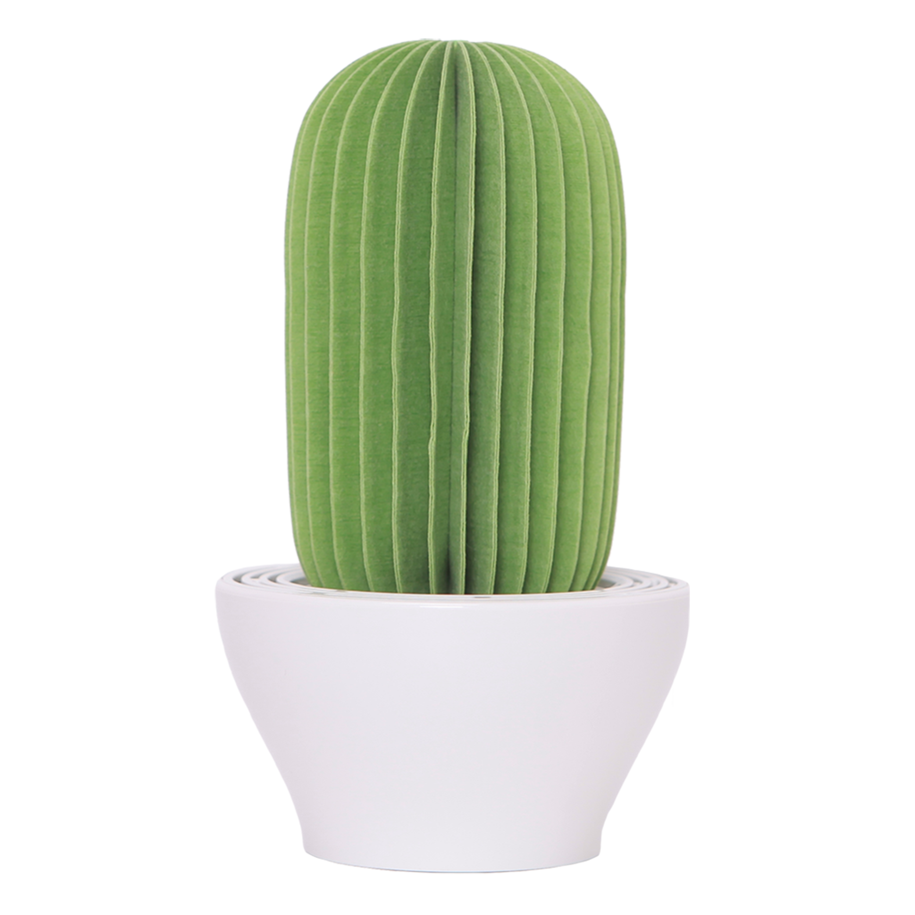 Cactus Non-Electric Personal Humidifier in Green