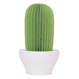 Cactus Non-Electric Personal Humidifier in Green