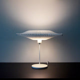 Dlight Transformable Lamp Shade Table Lamp