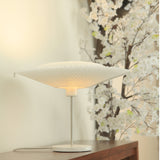 Dlight Transformable Lamp Shade Table Lamp